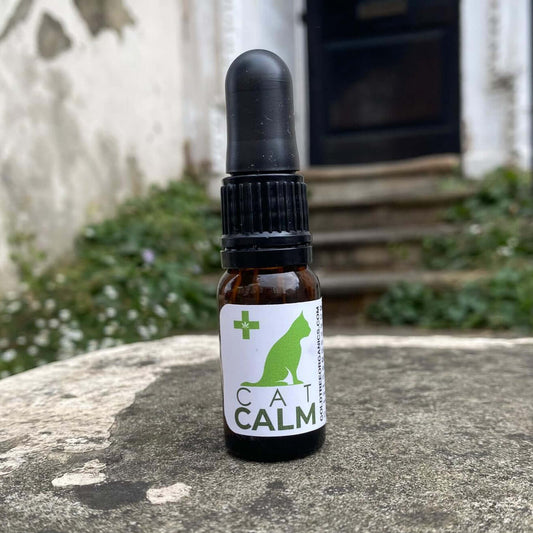 Bottle of 'Cat Calm' cbd oil supplement on a stone surface with a garden background