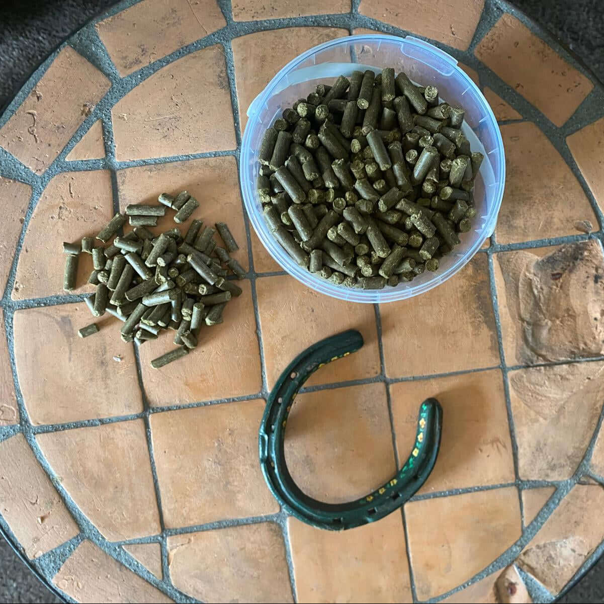 Container of Gold Tree Organics equine hemp pellets beside green horseshoe on a tiled surface