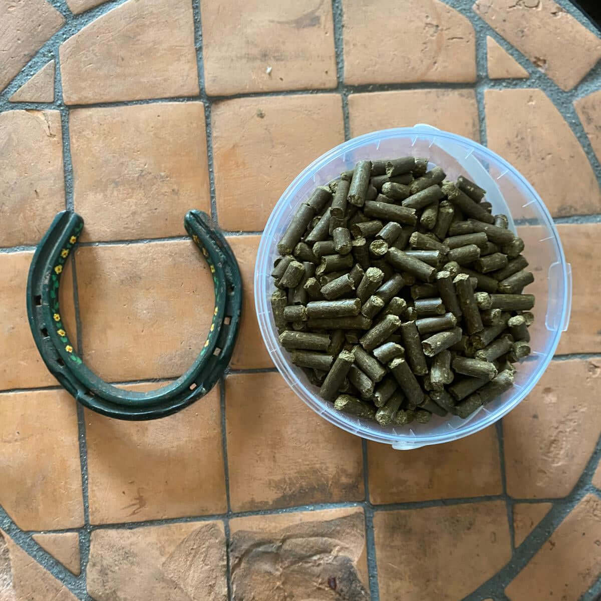 Container of equine hemp pellets beside a horse shoe for equine health and nutrition
