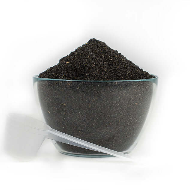 Gold Tree Organics horse herb mix in glass bowl with scoop natural equine digestive health supplement