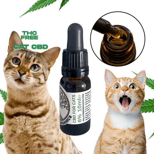 Gold Tree Organics THC free cat CBD drops 10ml bottle with pipette and two curious tabby cats