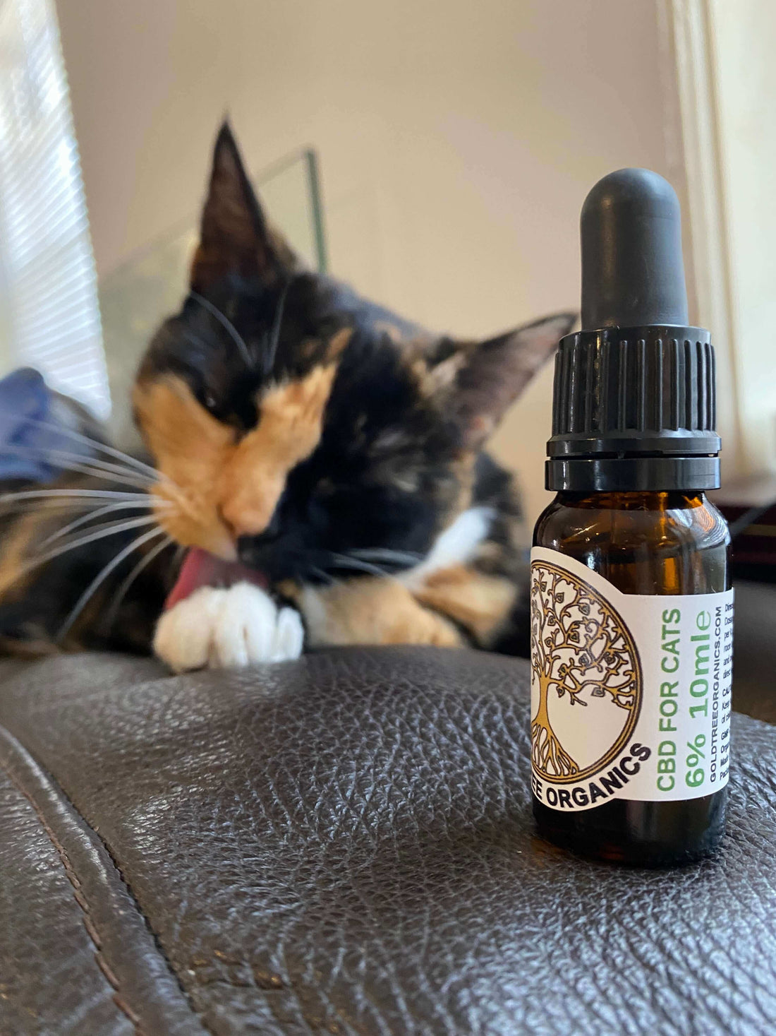 CBD oil bottle for cats with a calico cat licking its paw showing CBD benefits for pets