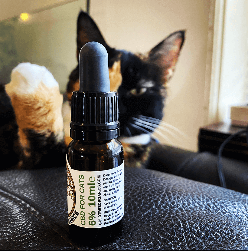 CBD oil dropper bottle for cats with a calico cat in the background showing how to choose pet CBD products