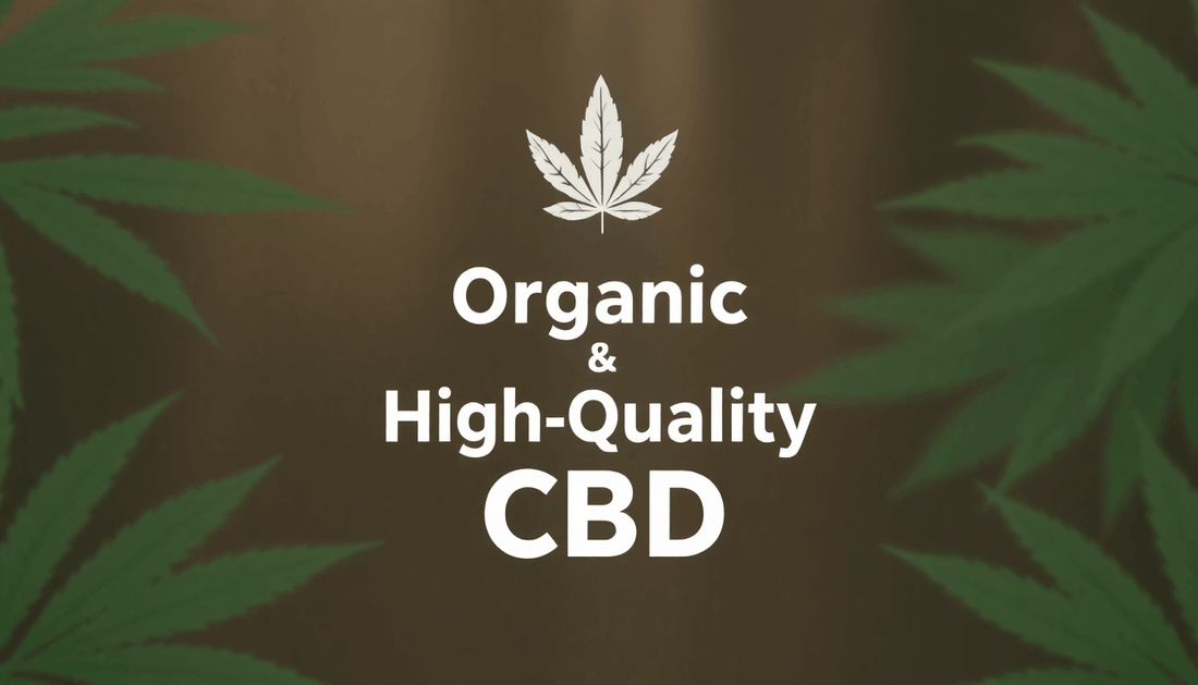 Organic and high-quality CBD with green hemp leaves highlighting why use organic CBD for wellness