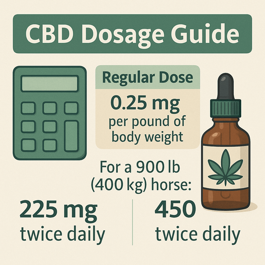 CBD dosage guide showing how much CBD should I give my horse with regular dose for 900 lb horse