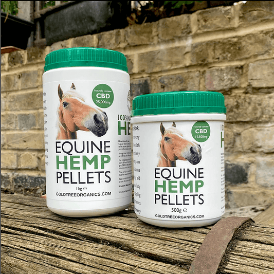 Gold Tree Organics equine hemp pellets showing CBD benefits for horses in calming supplement jars