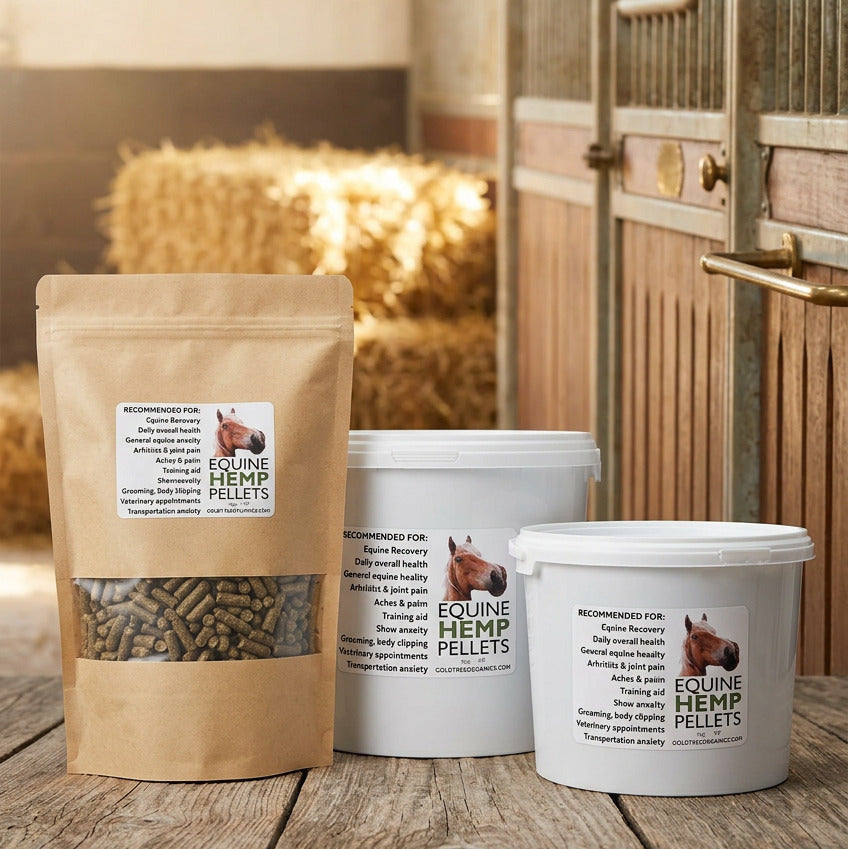 Gold Tree Organics Equine Hemp Pellets with CBD in a 4kg tub beside the pouch