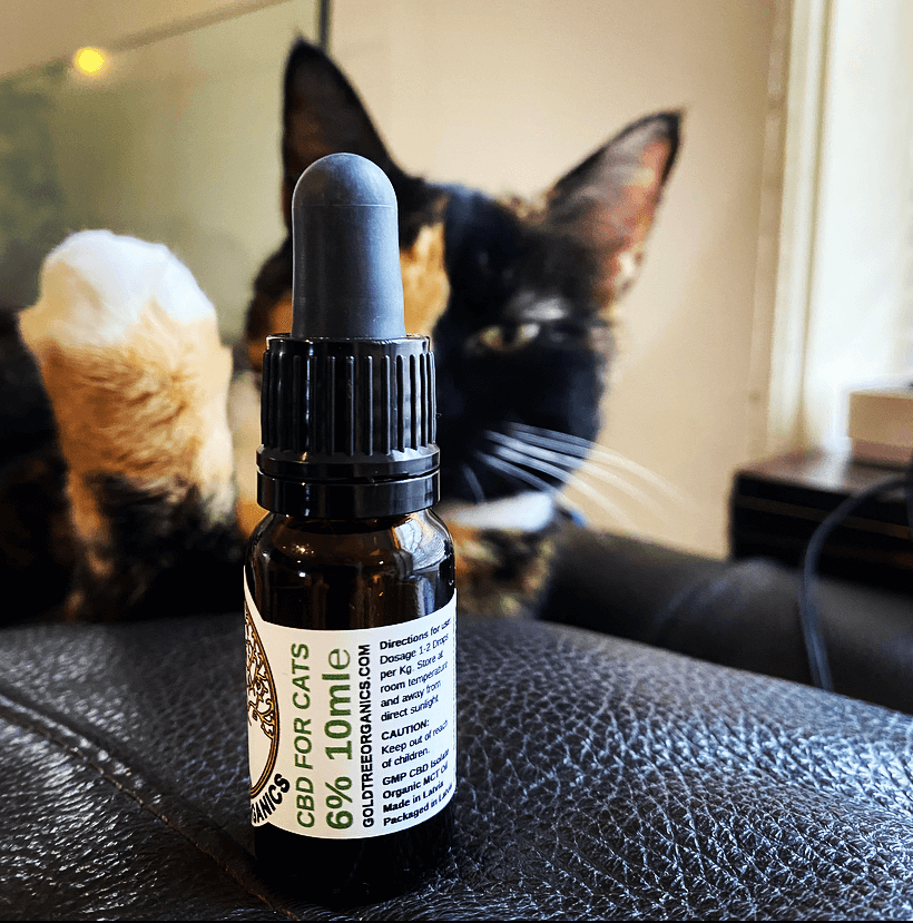 CBD oil bottle for cats on a leather surface with a cat in the background
