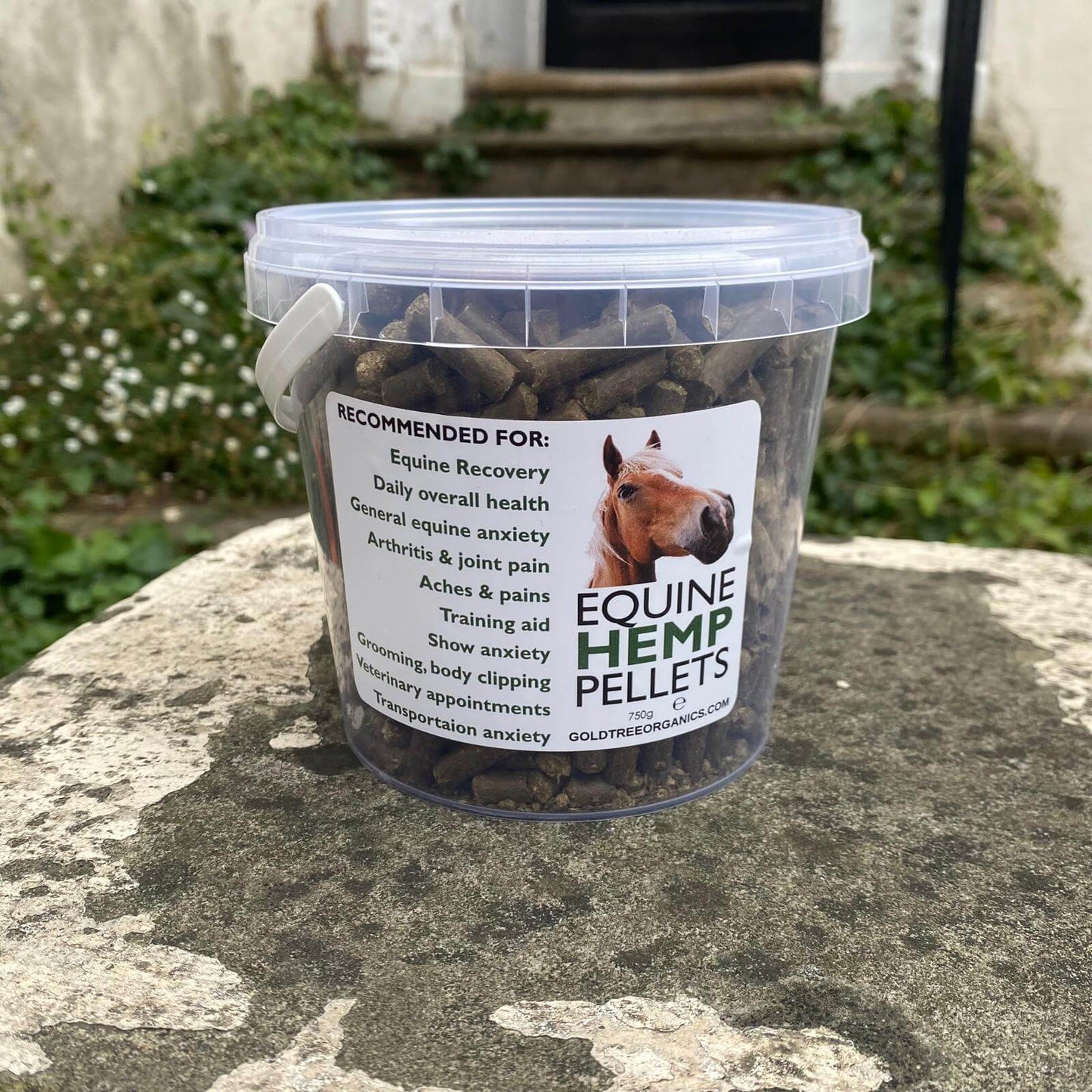 Gold Tree Organics equine hemp pellets in a container for equine recovery and daily health support