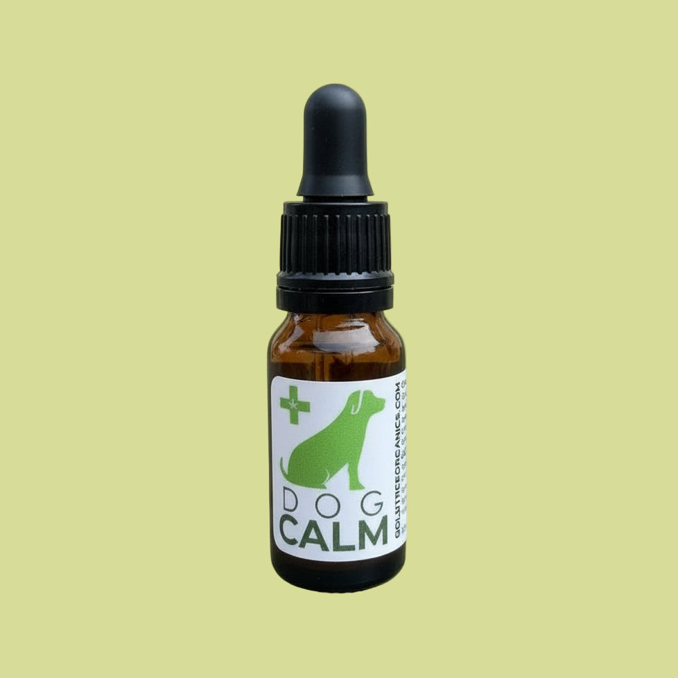 Gold Tree Organics Dog Calm Natural Dog Anxiety Relief CBD Oil in a 10ml bottle with dropper