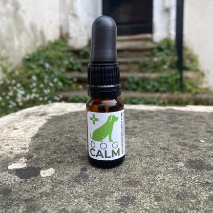 Gold Tree Organics Dog Calm Natural Dog Anxiety Relief CBD Oil in a 10ml bottle with dropper