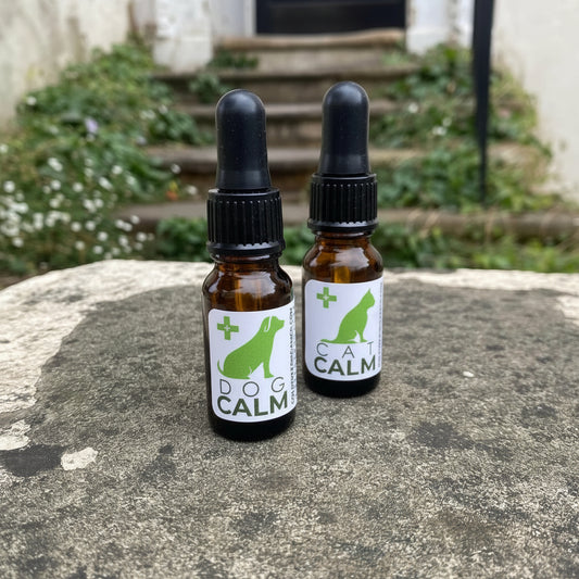 Gold Tree Organics Natural Dog Anxiety Relief CBD Drops in Amber Bottles for Calming Dogs