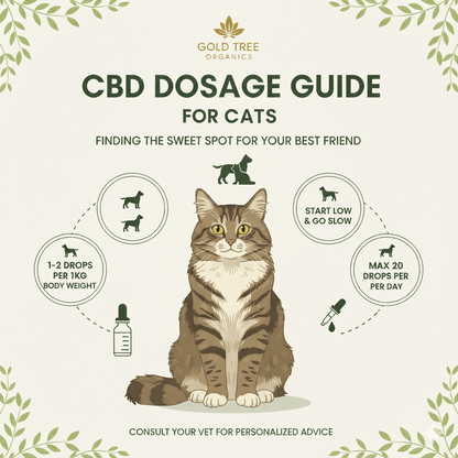 CBD dosage guide for cats with advice on THC free cat CBD drops for optimal usage