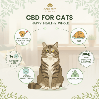 Gold Tree Organics THC free cat CBD drops for healthy skin, improved mood, and stress relief