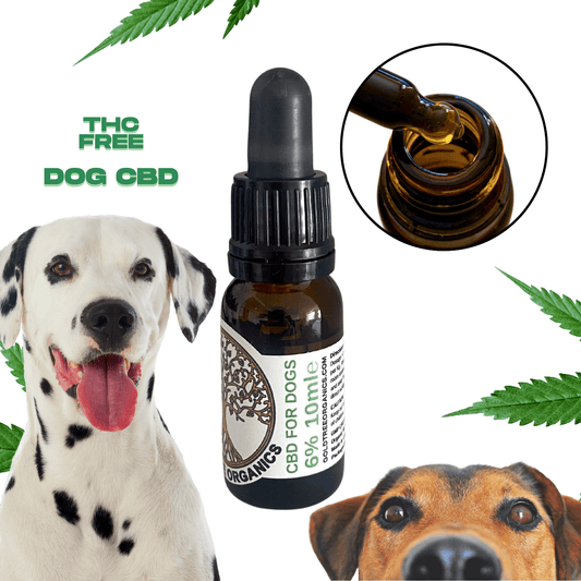 Gold Tree Organics CBD oil bottle with dropper and two dogs surrounded by hemp leaves natural dog anxiety relief CBD