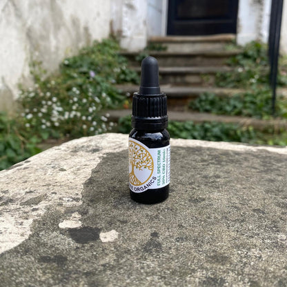 Gold Tree Organics full spectrum CBD oil bottle placed on a stone surface outdoors