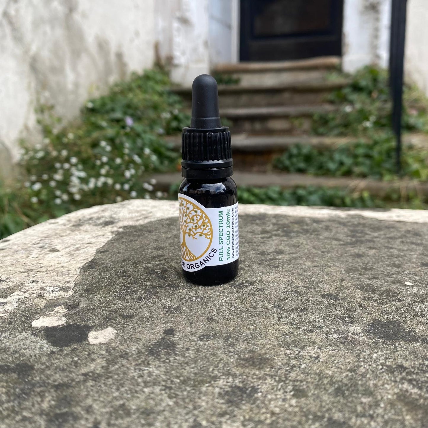 Gold Tree Organics full spectrum CBD oil dropper bottle on a stone surface