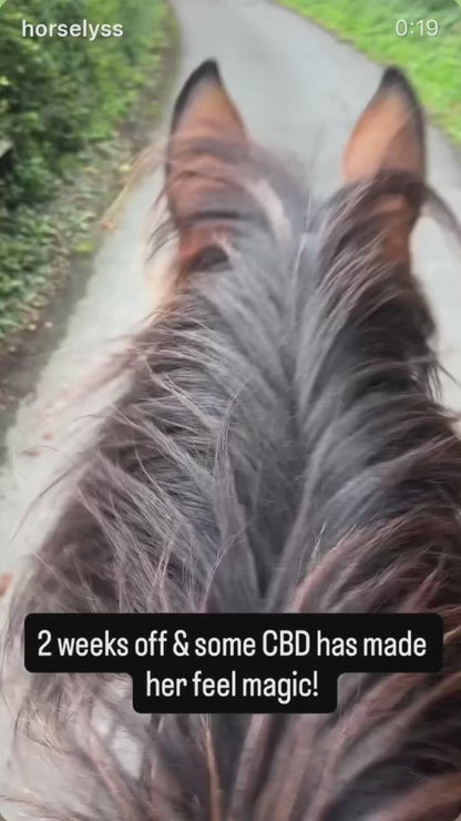 Equine Hemp Pellets Premium Pellets High CBD