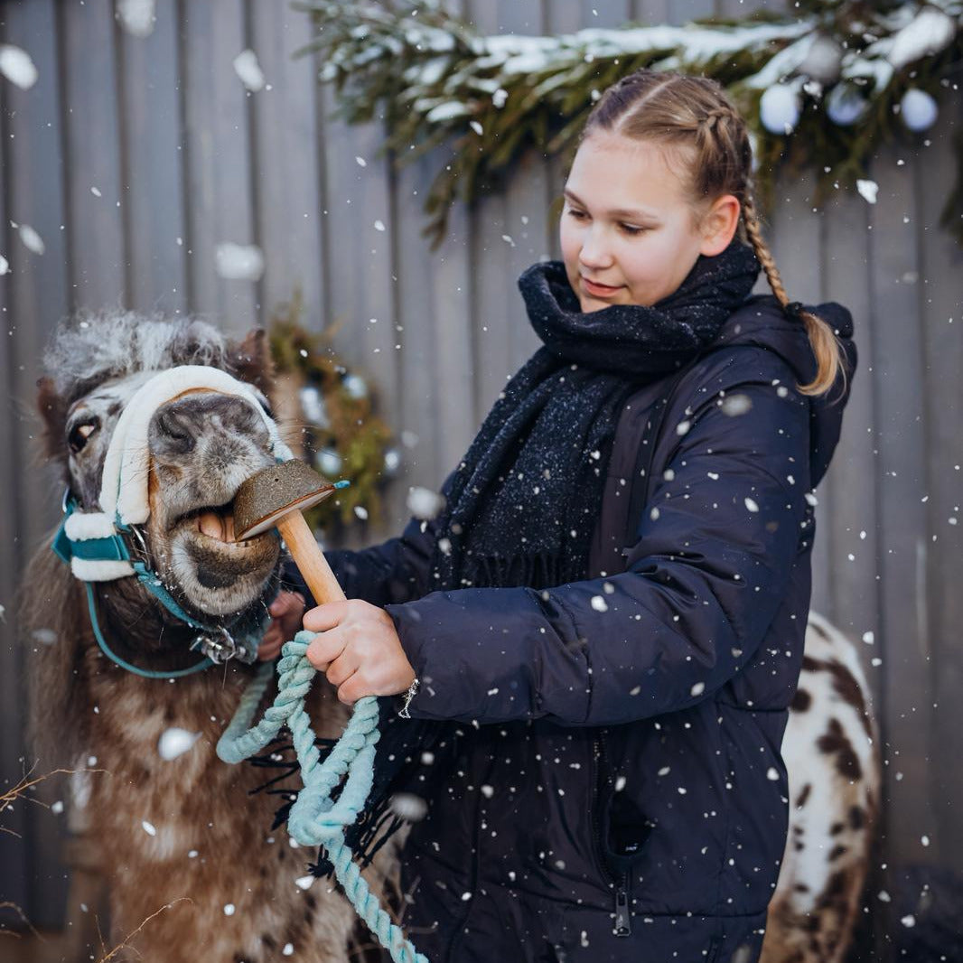 Girl in winter coat feeding a pony a Horse Lollypop on a wooden handle outside in falling snow