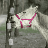 Equine Natural Reward Block Lick - Calming Gold Tree Organics