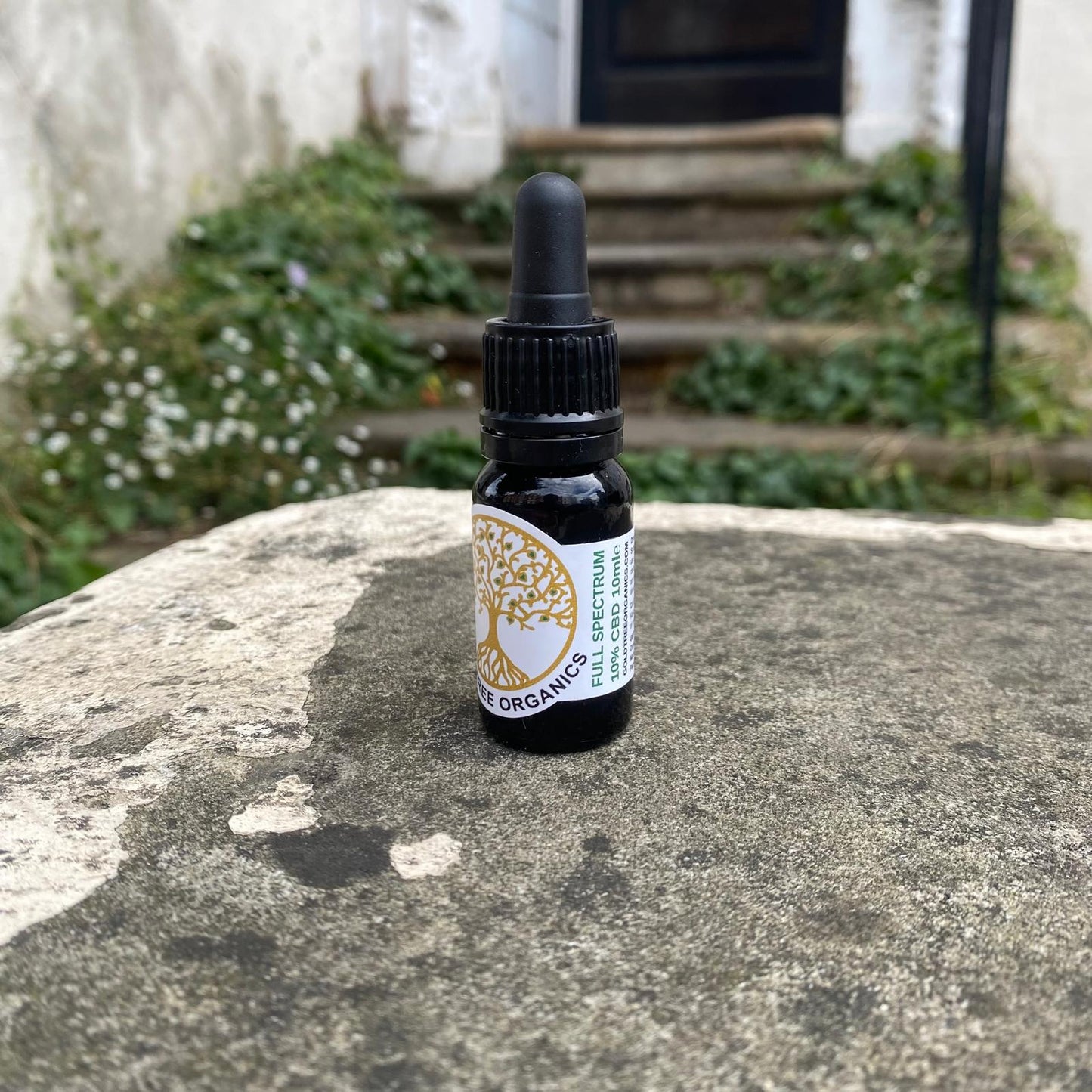 Gold Tree Organics full spectrum CBD oil bottle resting on a stone surface outside