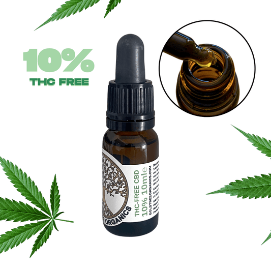 Gold Tree Organics 10 per cent THC free CBD oil amber glass dropper bottle with pipette and hemp leaves