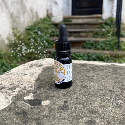 Gold Tree Organics full spectrum CBD oil bottle on a stone surface outdoors